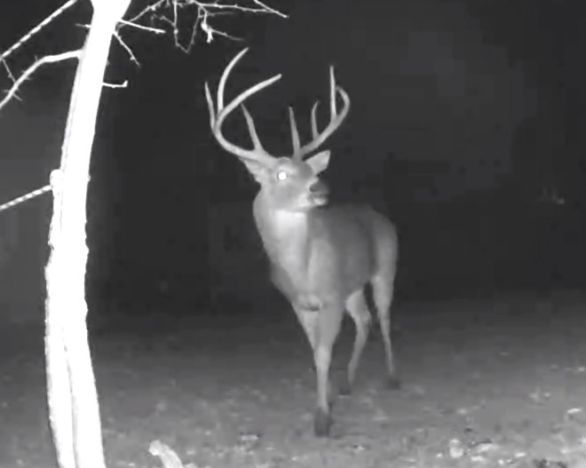 Rocket Science, Christmas Dinner & Fun Memories News, Sports, Jobs